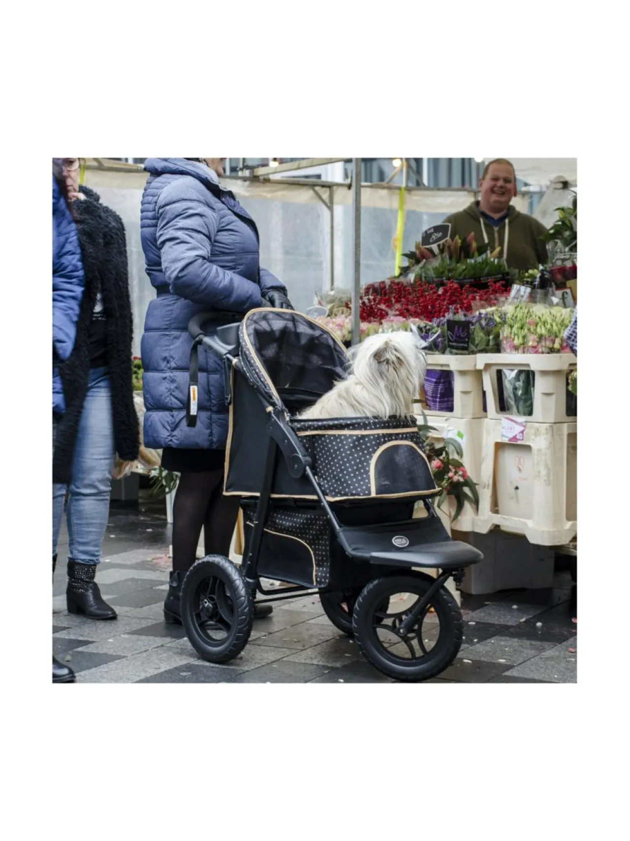 Ruokakupit Ja -Tarvikkeet|InnoPet Adventure lemmikkirattaat