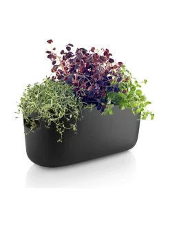 Ruukut & Istutusastiat|Eva Solo Outdoor Altakasteleva yrttilaatikko MUSTA