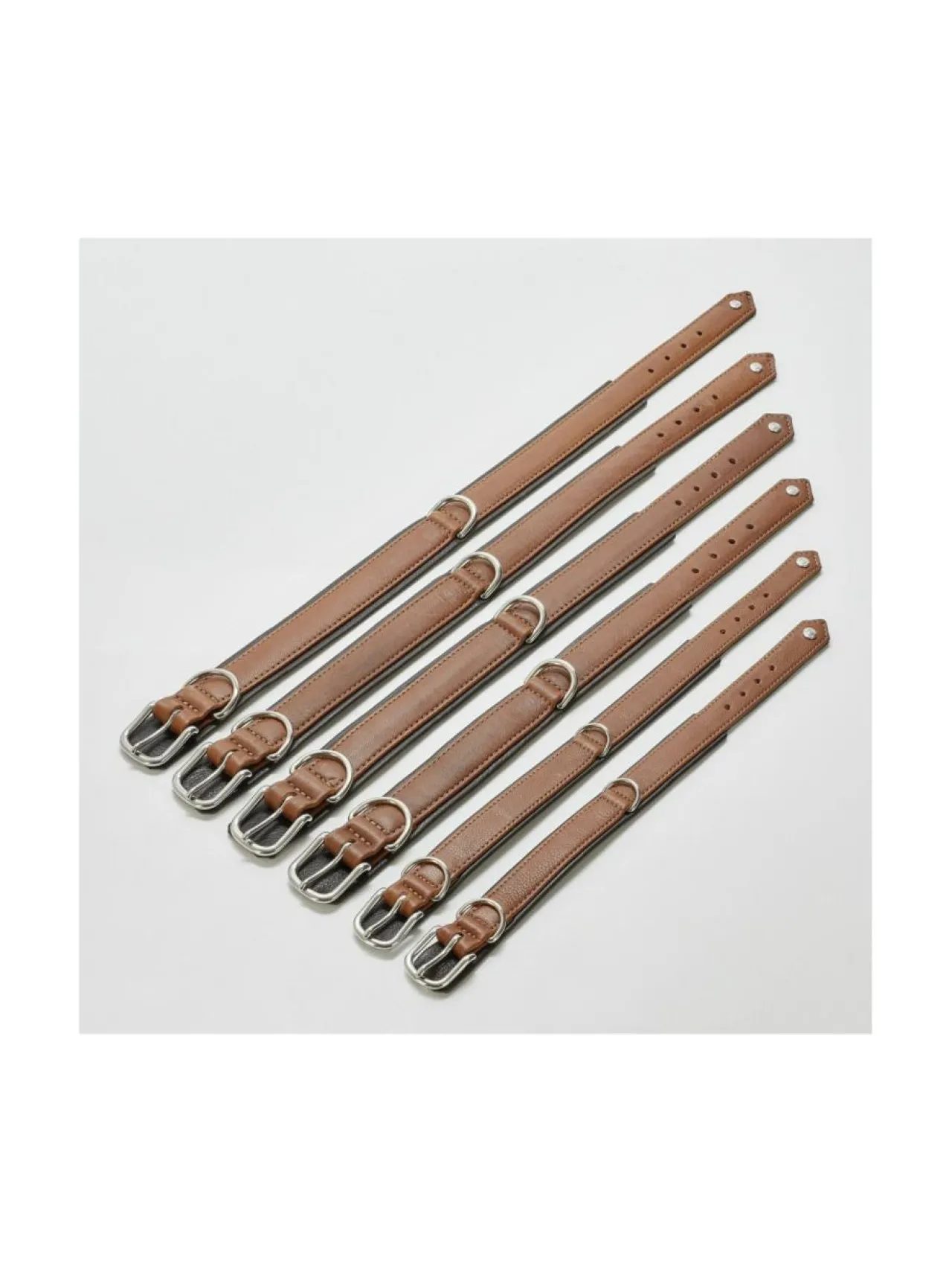 Kaulapannat Ja Talutushihnat|Laboni Amici kaulapanta + hihna setti - KONJAKKI