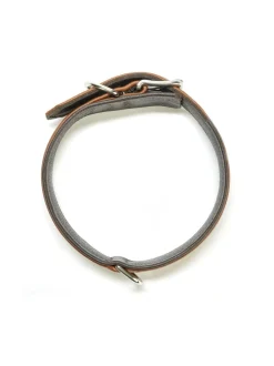 Kaulapannat Ja Talutushihnat|Laboni Amici kaulapanta + hihna setti - KONJAKKI