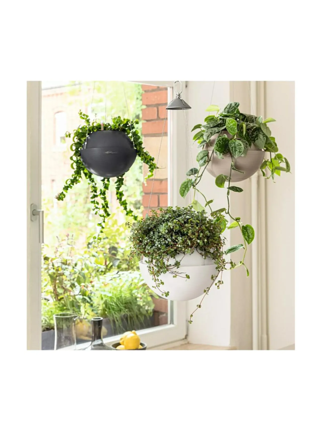 Ruukut & Istutusastiat|Lechuza Amppeli Bola Color altakasteluruukku