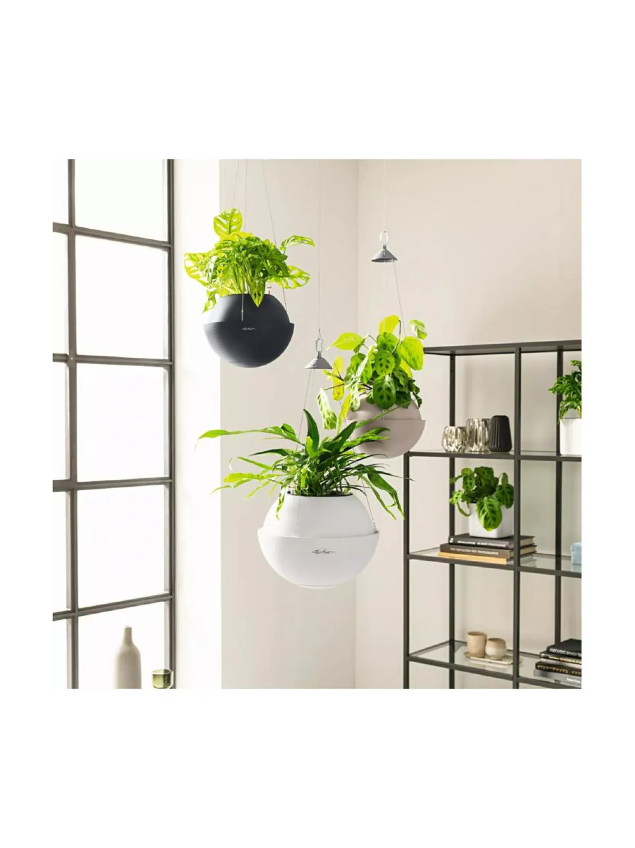 Ruukut & Istutusastiat|Lechuza Amppeli Bola Color altakasteluruukku