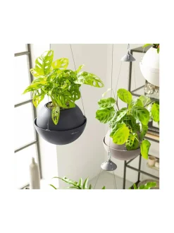 Ruukut & Istutusastiat|Lechuza Amppeli Bola Color altakasteluruukku