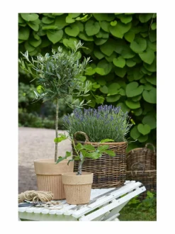 Ruukut & Istutusastiat|Wikholm Form Anita S -betoniruukku 15 x 14 cm TERRACOTTA