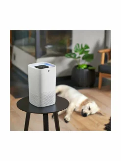 Sisäilma|Wilfa AP-100CW -ilmanpuhdistin WHITE