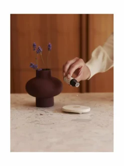 Huonetuoksut & Tuoksukynttilät|Sees Aroma Stone & Lemon -tuoksukivi ja eteerinen öljy