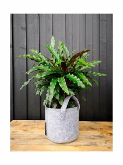 Työkalut|Kotisäkki Basic-säkki 3 l, 3 kpl HARMAA