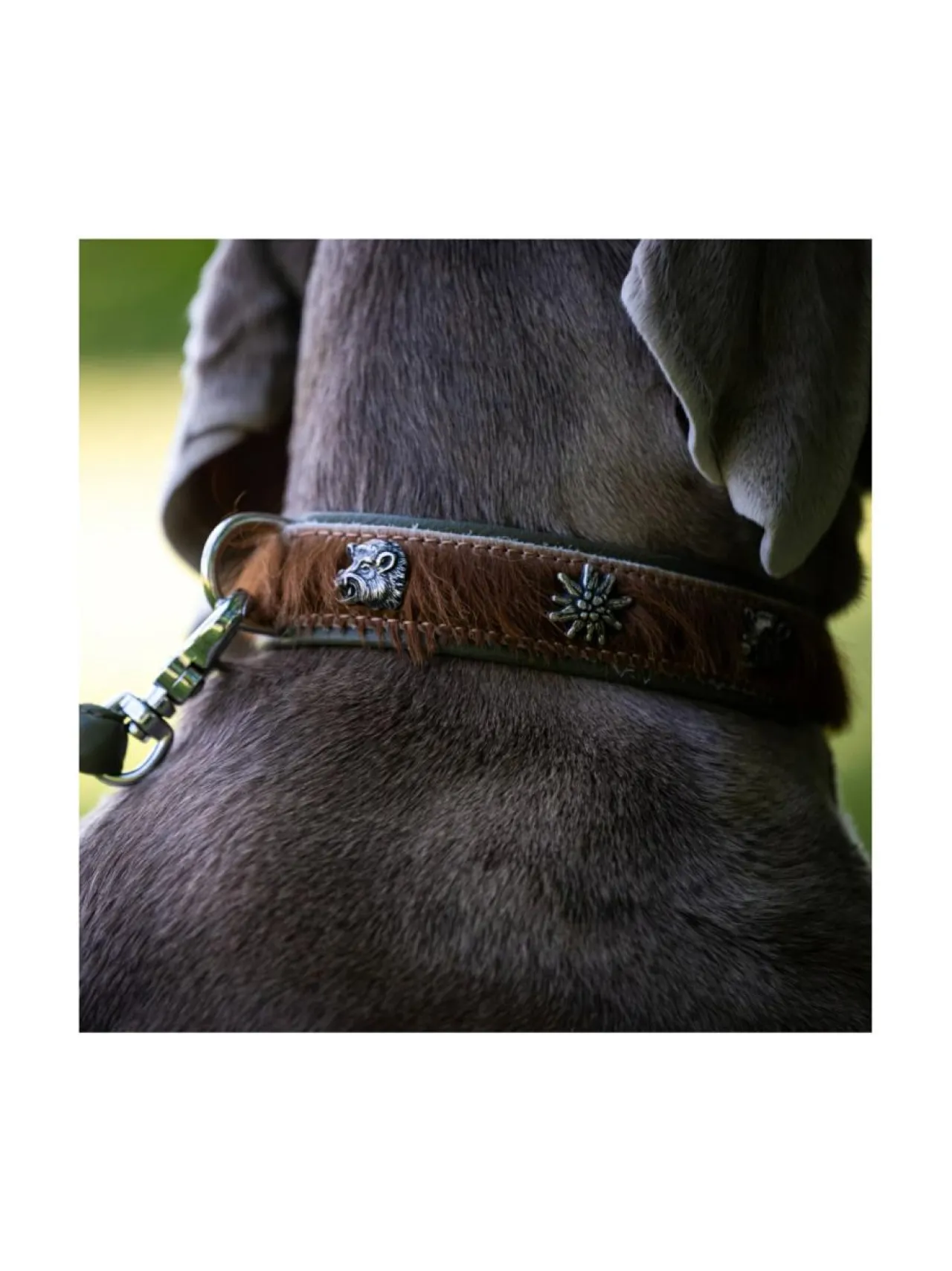 Kaulapannat Ja Talutushihnat|Laboni Bavaria kaulapanta ja hihna - Ruskea & vihreä RUSKEA & VIHREÄ
