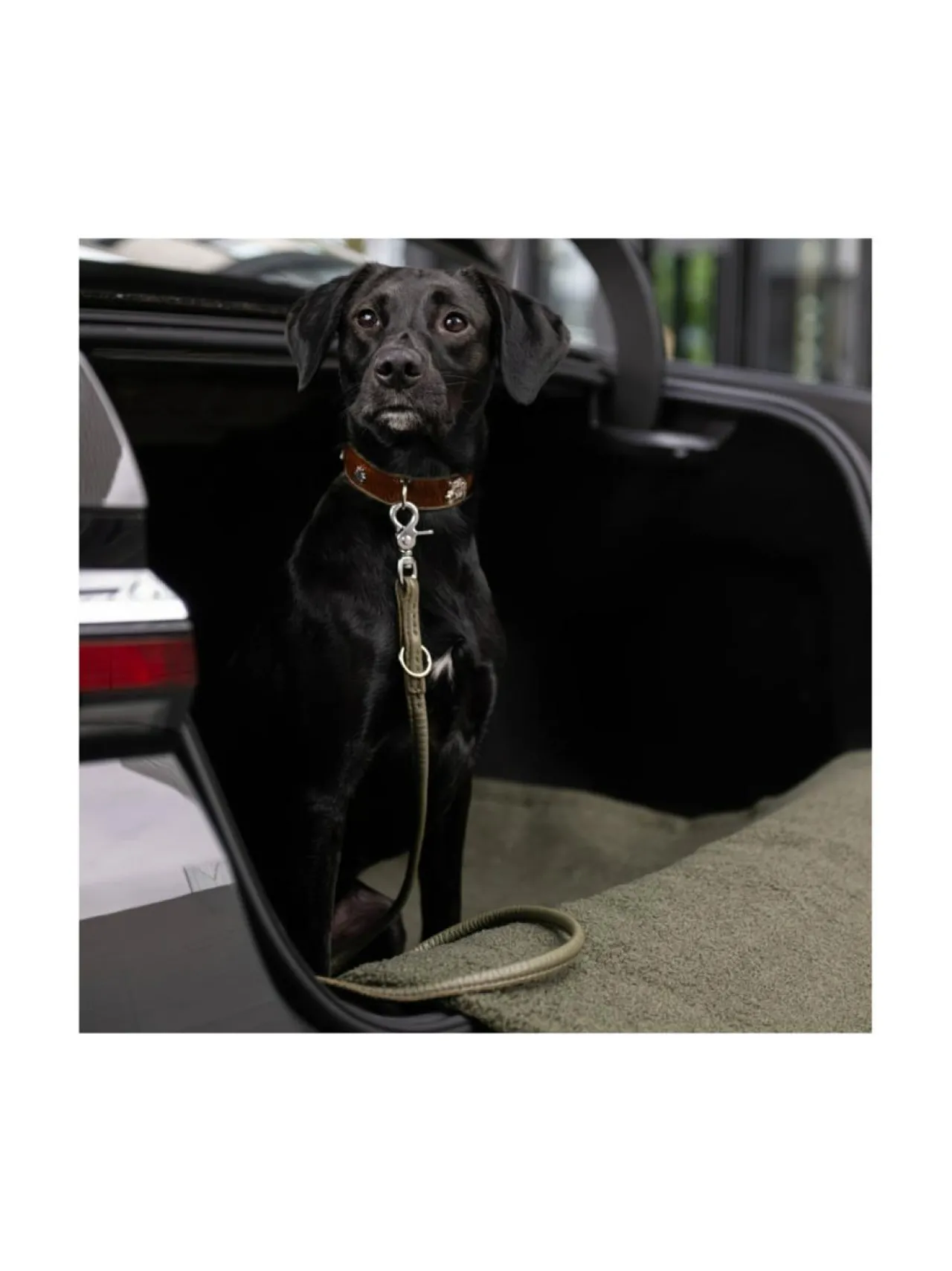 Kaulapannat Ja Talutushihnat|Laboni Bavaria kaulapanta ja hihna - Ruskea & vihreä RUSKEA & VIHREÄ