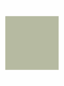 Keittiö- & Kattaustekstiilit|Duni Bio-servietit 20 kpl PISTACHIO