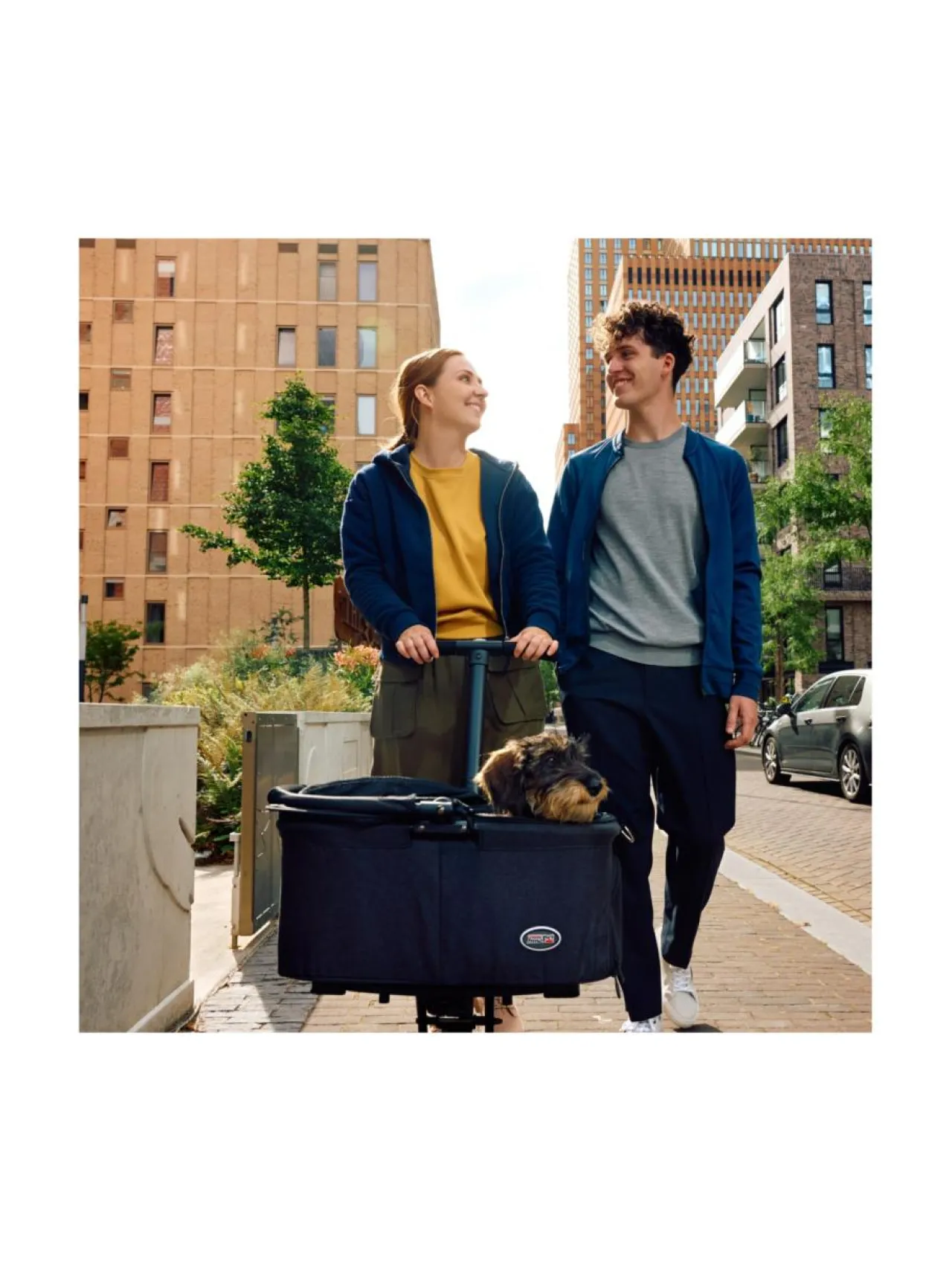 Kantolaukut Ja Rattaat|InnoPet City Hopper lemmikkirattaat