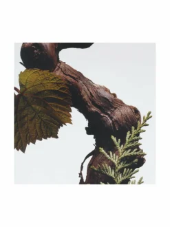 Huonetuoksut & Tuoksukynttilät|Jo Malone London Cypress & Grapevine -tuoksukynttilä 200 g