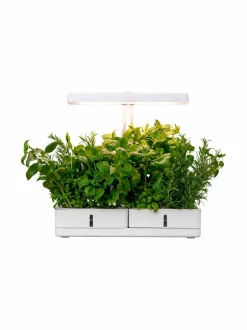 Turvatuotteet|Airam Daisy-kasvivalaisin WHITE