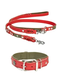 Kaulapannat Ja Talutushihnat|Laboni Edelweiss kaulapanta ja talutushihna