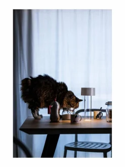 Pöytävalaisimet|Foscarini Fleur Bianco -pöytävalaisin WHITE