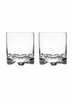 Lasit|Iittala Gaissa-grogilasi 28 cl, 2 kpl KIRKAS