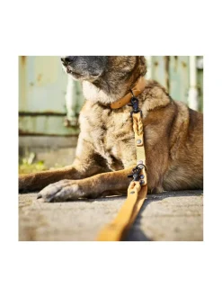 Kaulapannat Ja Talutushihnat|Laboni Giro talutushihna 2 m HUNAJA