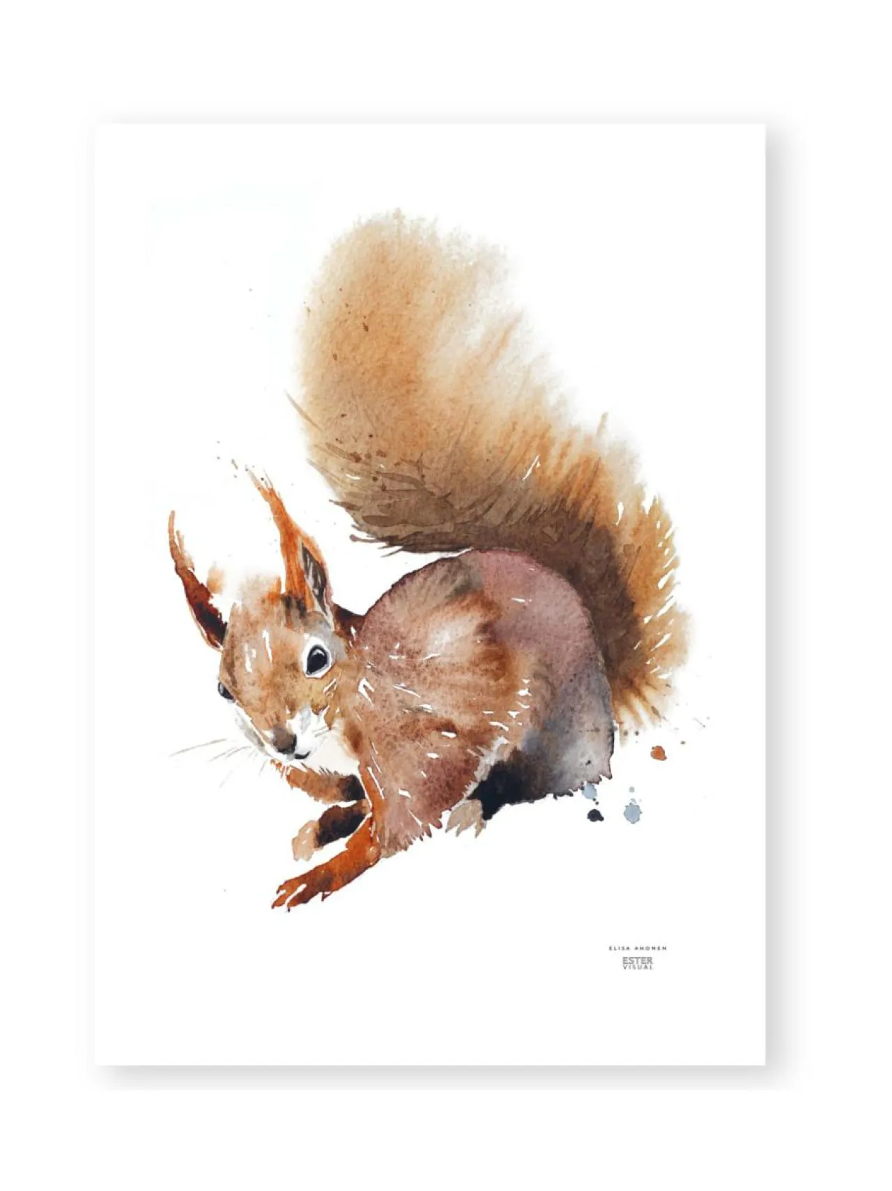 Taulut & Julisteet|ESTER VISUAL Juliste Orava 50x70 cm