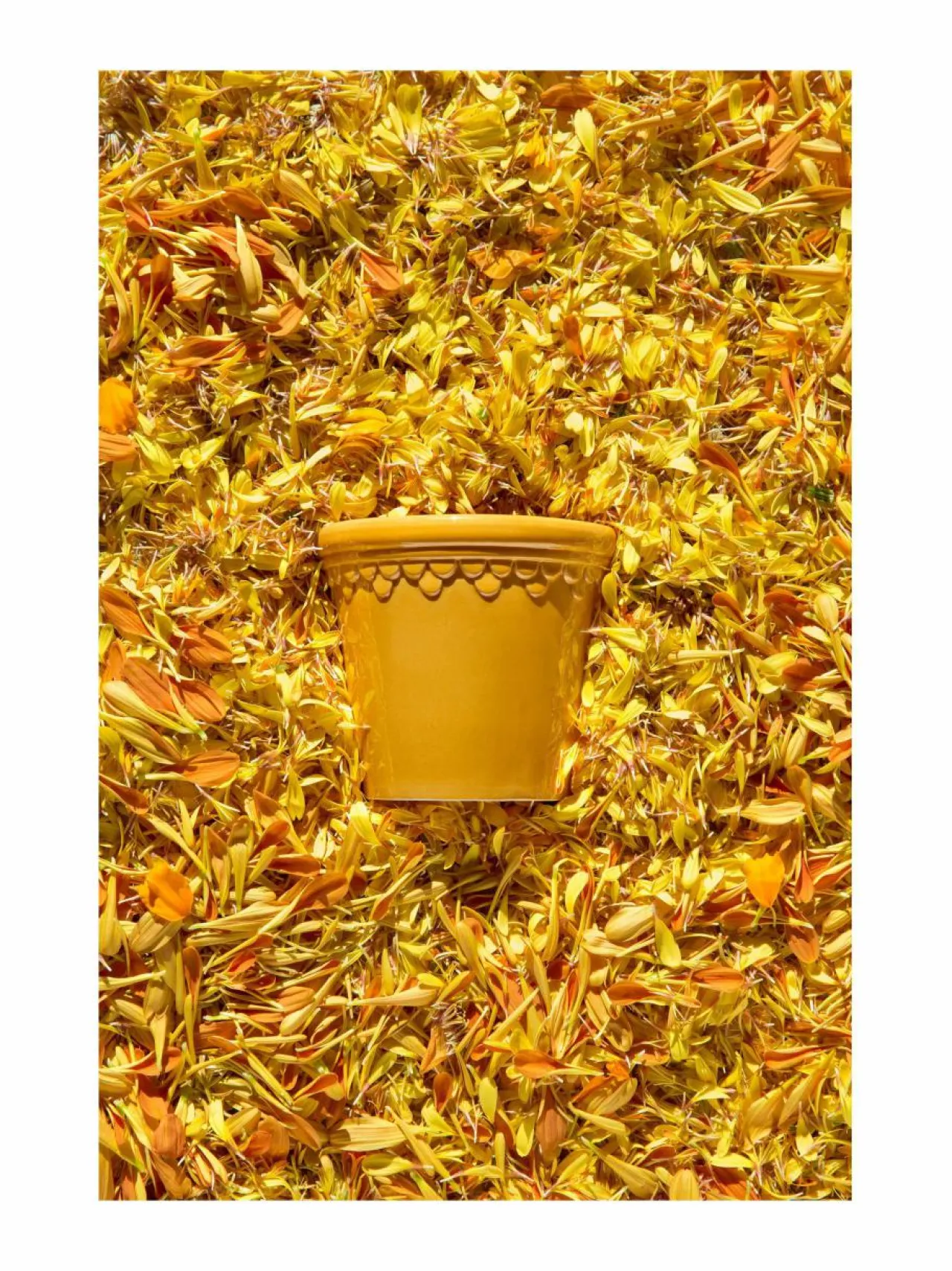 Ruukut & Istutusastiat|Bergs Potter Københavner-ruukku Ø 10 cm AMBER YELLOW