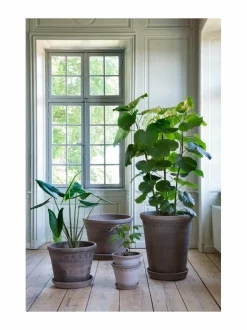 Ruukut & Istutusastiat|Bergs Potter Københavner-ruukku Ø 16 cm GREY