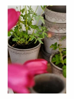 Ruukut & Istutusastiat|Bergs Potter Københavner-ruukku Ø 14 cm GREY