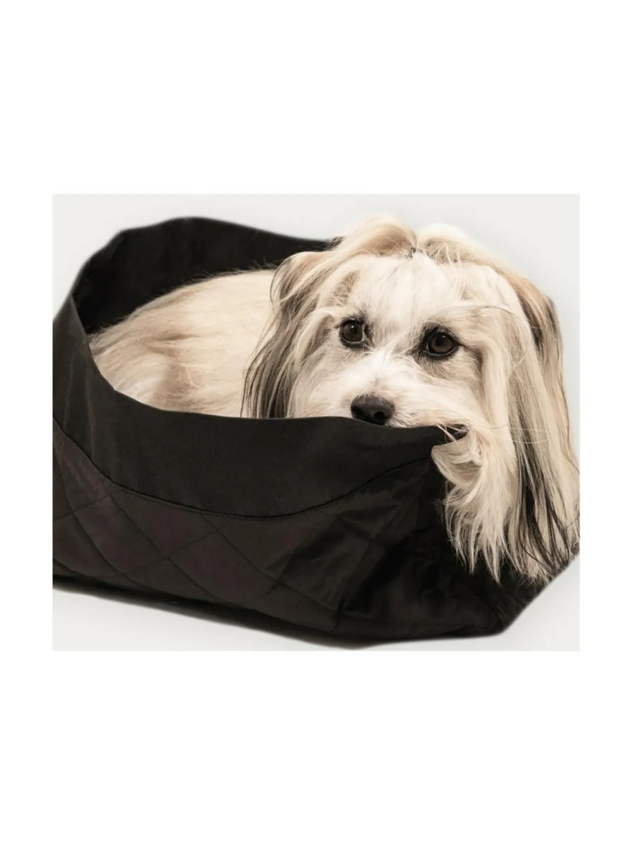 Kantolaukut Ja Rattaat|Oliver's Life & Style Koiran kantolaukku