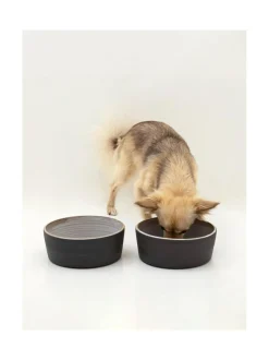 Ruokakupit Ja -Tarvikkeet|Oliver's Life & Style Koiran keraaminen ruokakulhosetti, 2 kulhoa, (ylöspäin levenevät kulhot) MUSTA