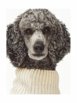 Koiran Vaatteet|Oliver's Life & Style Koiran neule, palmikko, vaalea beige