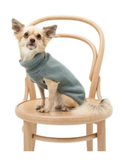 Koiran Vaatteet|Oliver's Life & Style Koiran neule, sileä, vihreä VIHREÄ