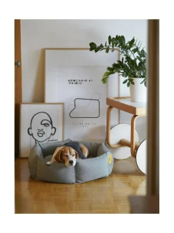 Pedit Ja Makuualustat|Kanto Koiranpeti x Johanna Gullichsen EOS BORDEAUX BLACK