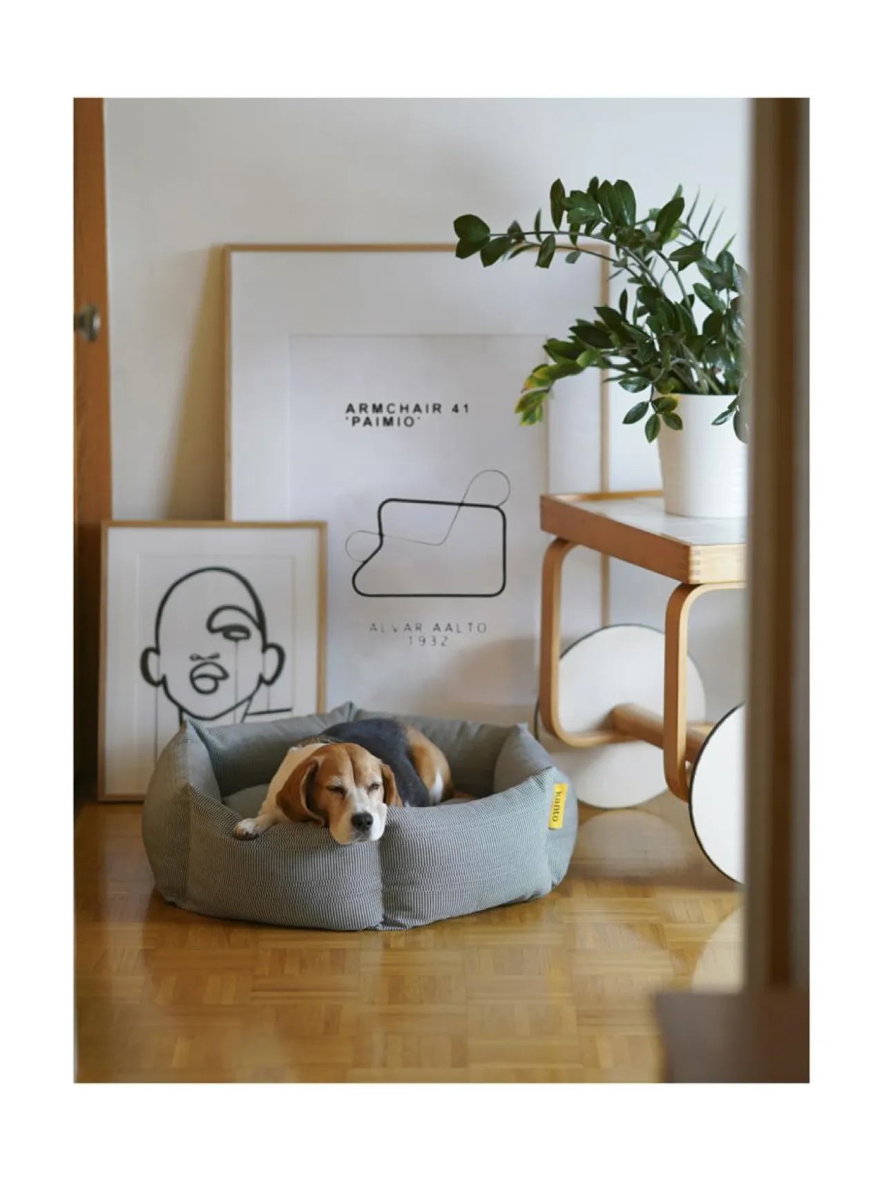 Pedit Ja Makuualustat|Kanto Koiranpeti x Johanna Gullichsen EOS BORDEAUX BLACK