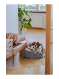 Pedit Ja Makuualustat|Kanto Koiranpeti x Johanna Gullichsen EOS BORDEAUX BLACK