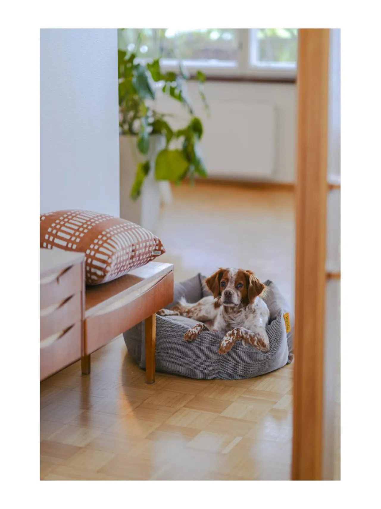 Pedit Ja Makuualustat|Kanto Koiranpeti x Johanna Gullichsen EOS BORDEAUX BLACK