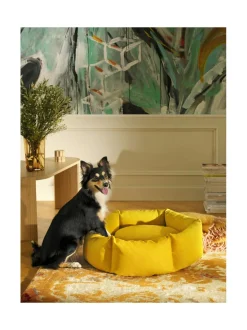 Pedit Ja Makuualustat|Kanto Koiranpeti Luoto x Kvadrat COFFEE