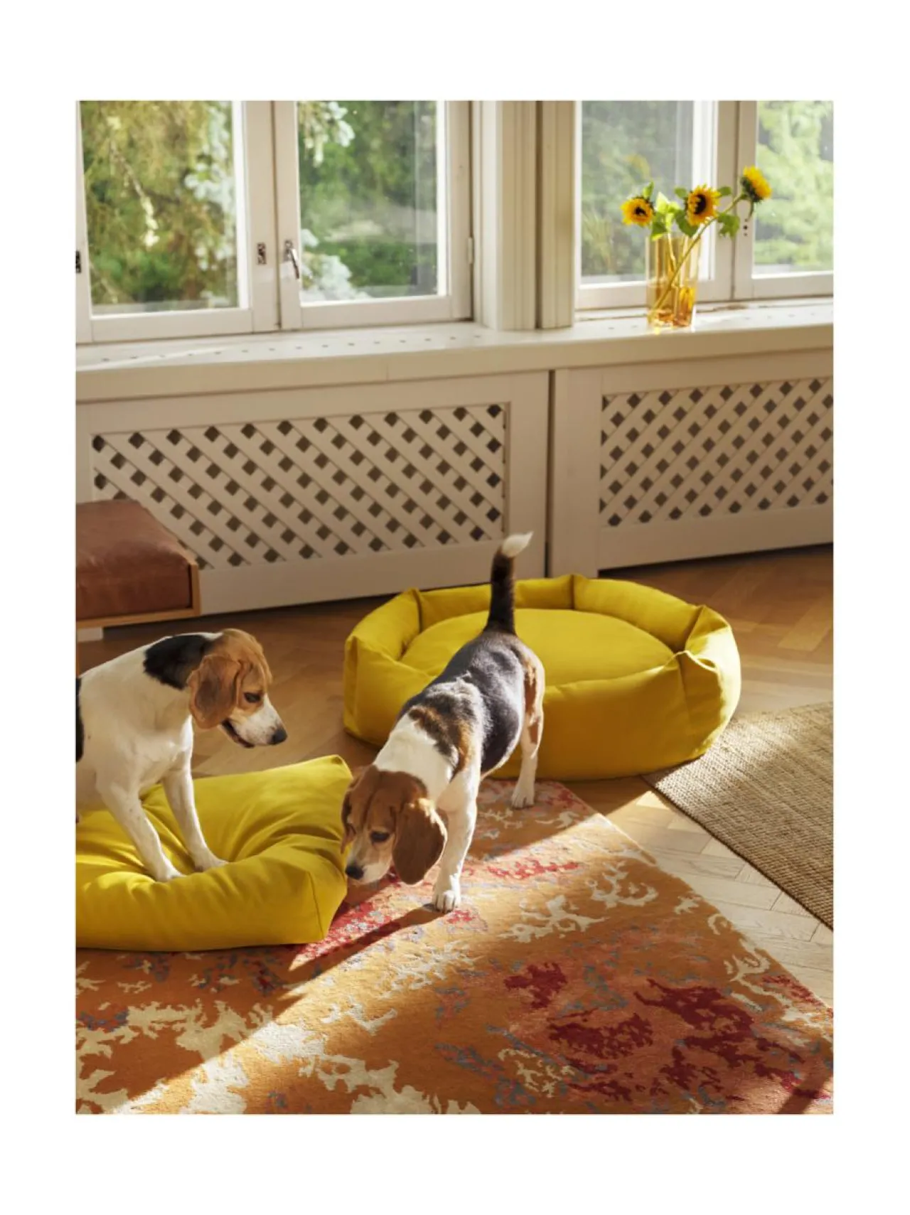 Pedit Ja Makuualustat|Kanto Koiranpeti Luoto x Kvadrat MIDNIGHT