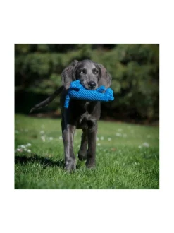 Koiran Lelut|Laboni Lelupaketti #1 - Kurt, Emma, Kalmari