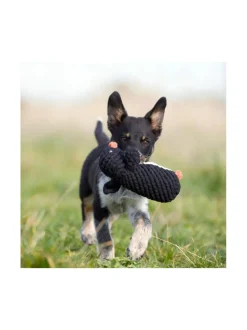 Koiran Lelut|Laboni Lelupaketti #2 - Poldi, Didi, Franzi