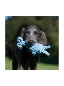 Koiran Lelut|Laboni Lelupaketti #2 - Poldi, Didi, Franzi