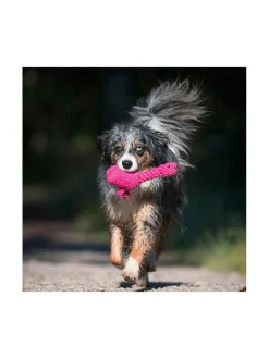 Koiran Lelut|Laboni Lelupaketti #2 - Poldi, Didi, Franzi