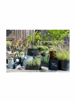 Ruukut & Istutusastiat|Wikholm Form Lola-kastelukannu 3 l ZINC