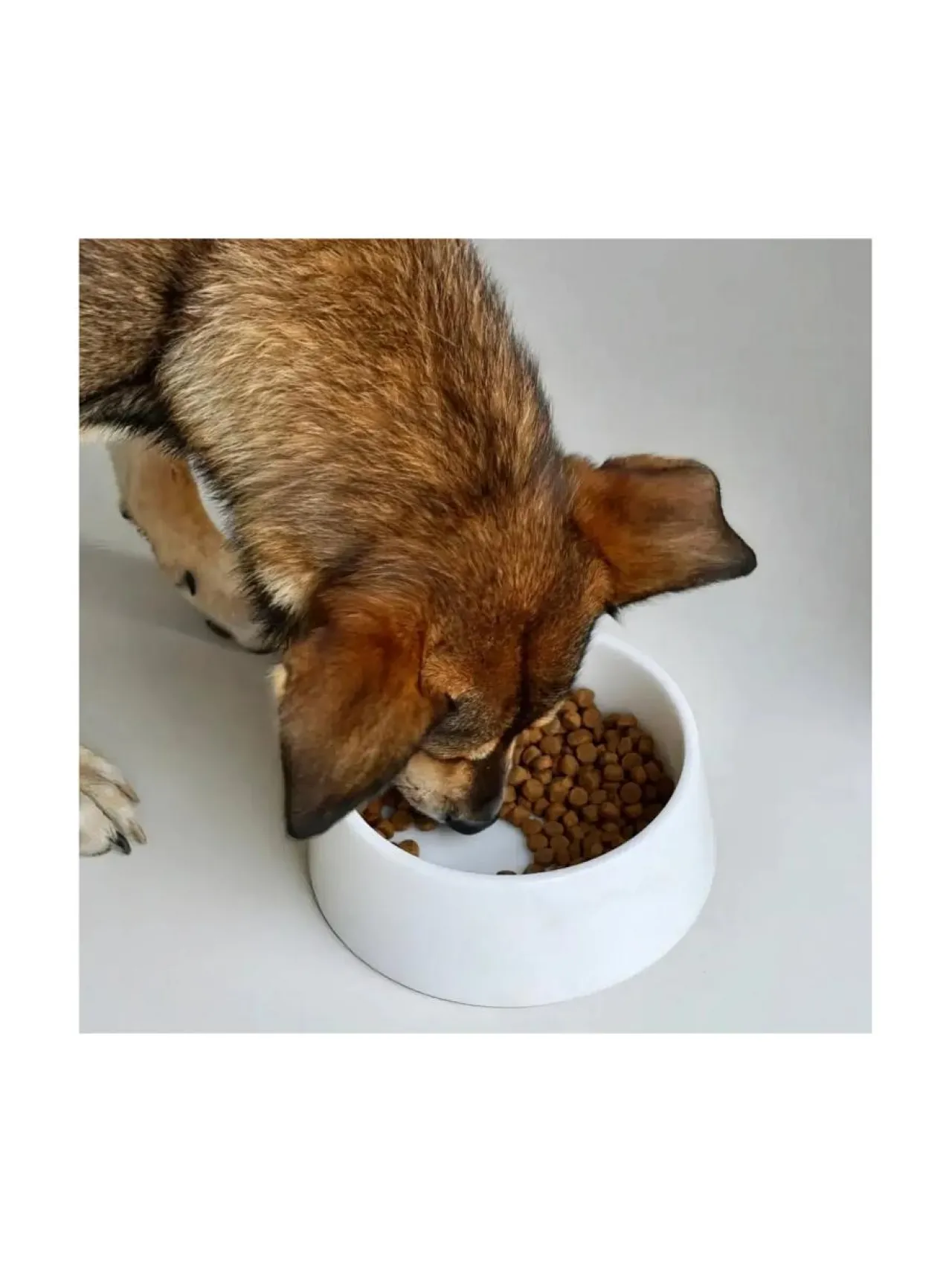 Ruokakupit Ja -Tarvikkeet|Studio Animaux Marmorinen design ruokakulho - Kristallinvalkoinen