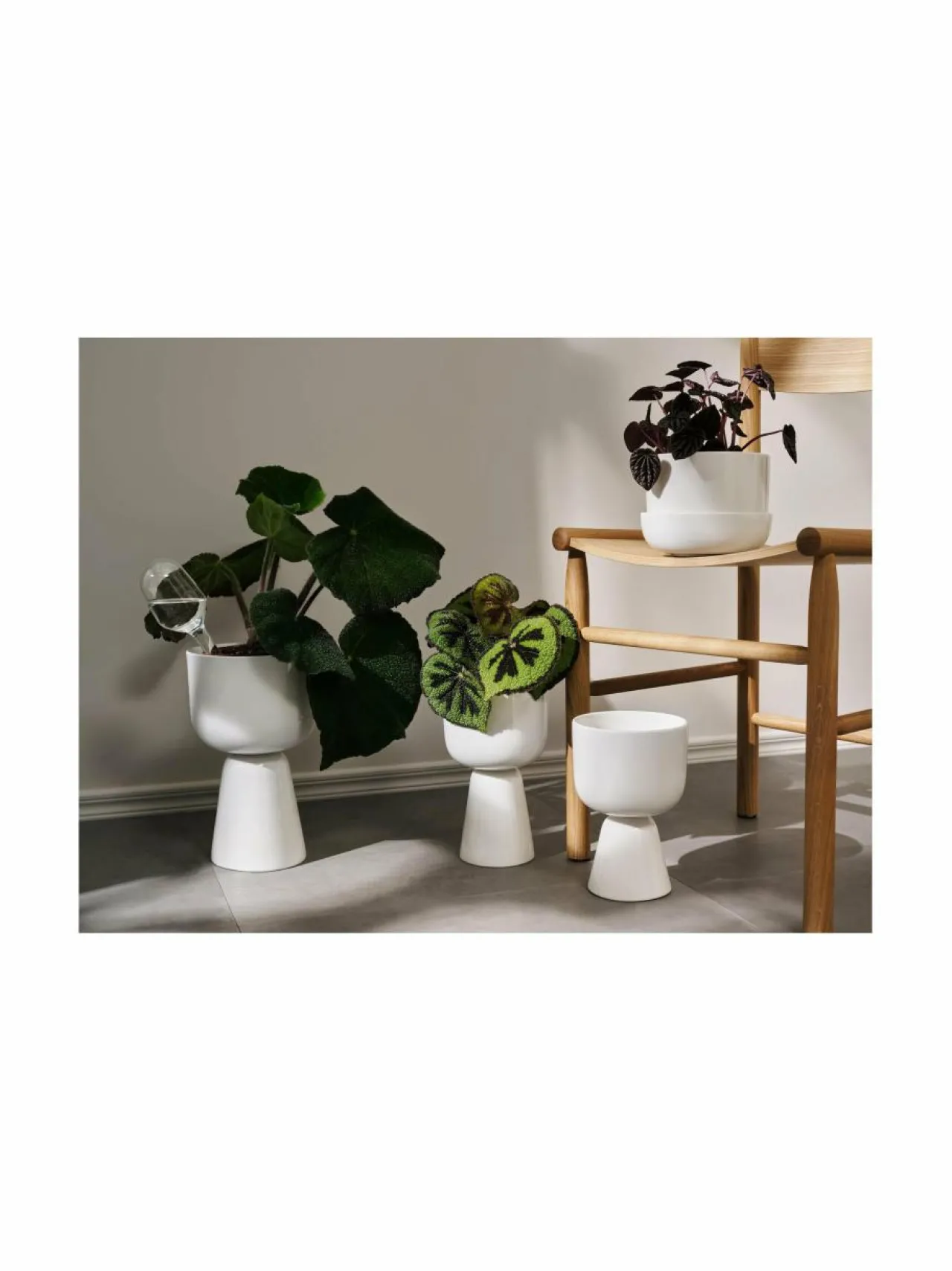 Ruukut & Istutusastiat|Iittala Nappula-kasviruukku WHITE