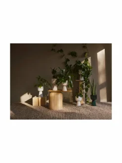 Ruukut & Istutusastiat|Iittala Nappula-kasviruukku WHITE