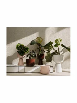 Ruukut & Istutusastiat|Iittala Nappula-kasviruukku WHITE