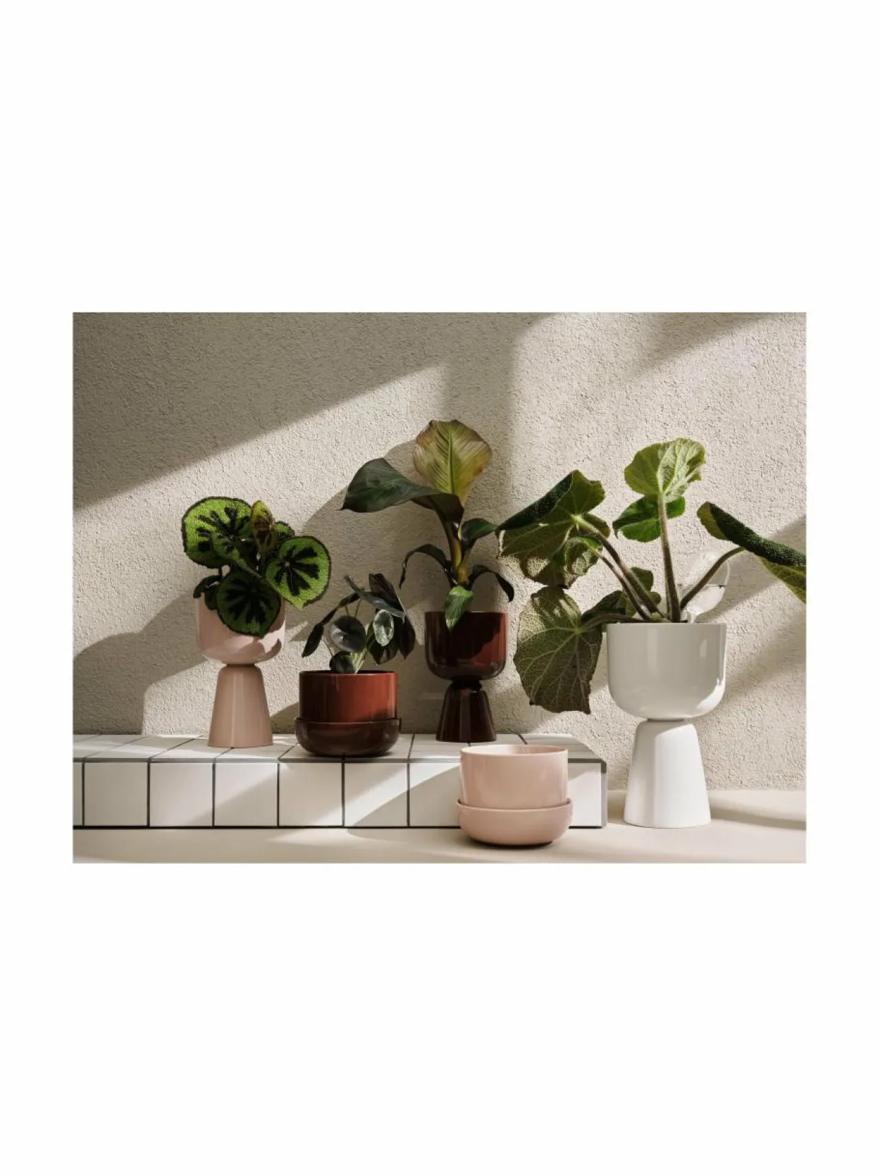 Ruukut & Istutusastiat|Iittala Nappula-kasviruukku WHITE