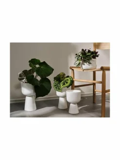 Ruukut & Istutusastiat|Iittala Nappula-ruukku WHITE