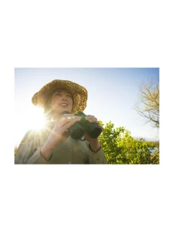 Kamerat|Nikon Prostaff P3 10x42 -kiikarit