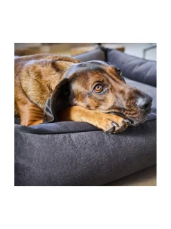 Pedit Ja Makuualustat|Laboni Ortho Buffalo ortopedinen koiranpeti - Vintage ANTRASIITTI