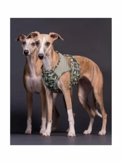 Koiran Vaatteet|PAIKKA Cool Vest Green Leo