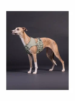 Koiran Vaatteet|PAIKKA Cool Vest Green Leo